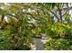 Path through an enchanting backyard garden with lush landscaping at 4426 Saxon Dr, New Smyrna Beach, FL 32169
