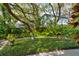 Lush backyard showcasing mature trees and vibrant landscaping at 4426 Saxon Dr, New Smyrna Beach, FL 32169