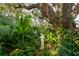 Lush yard featuring mature tropical plants, garden art and an incredible mature oak tree at 4426 Saxon Dr, New Smyrna Beach, FL 32169