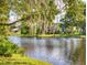 Waterfront backyard with lush landscaping and mature trees casting a tranquil view across the water at 751 Pine Shores Cir, New Smyrna Beach, FL 32168