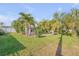 Grassy backyard with palm trees, greenery, and sunlight shining through the trees at 921 Duncan Rd, South Daytona, FL 32119