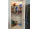 This fully stocked pantry provides an abundance of shelving for optimal organization and storage at 123 Old Mill Pond Rd, Edgewater, FL 32141