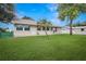 Lush backyard featuring a palm tree, green grass, and shed at 1240 Wayne Ave, New Smyrna Beach, FL 32168