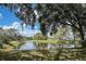 Scenic pond view surrounded by mature trees offering serene outdoor ambiance at 1240 Wayne Ave, New Smyrna Beach, FL 32168