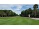 Lush green golf course with flag on the green, surrounded by trees at 26 Birdie Dr, New Smyrna Beach, FL 32168