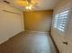 Bedroom with a closet, tan accent wall, carpet, and window with plantation shutters at 2669 Sicily Dr, New Smyrna Beach, FL 32168