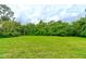 Picture of a large flat backyard surrounded by lush, mature landscaping providing privacy and a tranquil outdoor space at 2708 Turnbull Estates Dr, New Smyrna Beach, FL 32168