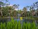 Picturesque pond with fountain and pavilion beyond yellow flowers at 2995 Ragis Rd, Edgewater, FL 32132