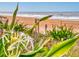Serene beachfront view featuring indigenous flora of lush green plants and white flowering plants at 1275 Ocean Shore Blvd # 5050, Ormond Beach, FL 32176