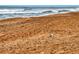 Scenic beach view featuring a lone seagull standing in the sand, and clear blue ocean water at 1275 Ocean Shore Blvd # 5050, Ormond Beach, FL 32176