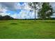 Expansive backyard with vibrant green grass, mature trees, and a sense of peaceful seclusion at 1948 Spruce Creek Lndg, Port Orange, FL 32128