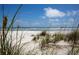 Beautiful beach view with sand dunes and natural grasses against a clear sky at 265 Minorca Beach Way # 505, New Smyrna Beach, FL 32169
