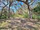 Lush backyard featuring a whimsical tree swing, perfect for relaxation and enjoying nature's beauty at 3435 Black Willow Trl, Deland, FL 32724