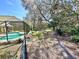Beautiful backyard featuring a screened-in pool surrounded by lush greenery, perfect for relaxation and privacy at 3435 Black Willow Trl, Deland, FL 32724
