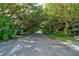 A tree lined street presents a beautiful canopy for a scenic drive through this amazing community at 4322 Sea Mist Dr # 4322, New Smyrna Beach, FL 32169