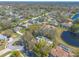 Spacious homes line quiet streets in an aerial view, set in a well-kept community by a lake at 6049 Sabal Hammock Cir, Port Orange, FL 32128