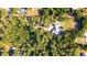 Aerial view of the property, showing the house and tree-lined boundary at 725 Ingham Rd, New Smyrna Beach, FL 32168