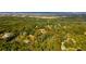 Aerial view highlighting the property lines surrounded by lush trees and greenery at 725 Ingham Rd, New Smyrna Beach, FL 32168