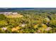 Aerial view highlighting the property's boundaries surrounded by lush trees and greenery at 725 Ingham Rd, New Smyrna Beach, FL 32168
