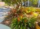 Lush landscaping featuring vibrant bromeliads and tropical plants, enhancing the natural beauty of the outdoor space at 725 Ingham Rd, New Smyrna Beach, FL 32168