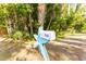 Whimsical mailbox with the house number '725' in a lush, wooded setting at 725 Ingham Rd, New Smyrna Beach, FL 32168