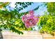 Beautiful pink flowers blooming on a tree, adding a touch of color and elegance to the property's landscape at 725 Ingham Rd, New Smyrna Beach, FL 32168
