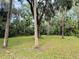Backyard view featuring mature trees and lush grass area at 1136 Elizabeth St, New Smyrna Beach, FL 32168