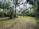 View of expansive land surrounded by beautiful mature trees and greenery at 1136 Elizabeth St, New Smyrna Beach, FL 32168
