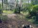 Land featuring mature trees, native palms and natural Florida vegetation at 1136 Elizabeth St, New Smyrna Beach, FL 32168