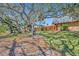 Spacious backyard featuring mature trees, privacy fence, and a well-maintained lawn at 135 Cedar Dunes Dr, New Smyrna Beach, FL 32169