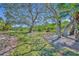 Expansive backyard with mature trees and lush grass, a serene and natural setting at 135 Cedar Dunes Dr, New Smyrna Beach, FL 32169