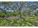 Beautiful lush backyard featuring mature trees and an abundance of natural sunlight at 135 Cedar Dunes Dr, New Smyrna Beach, FL 32169