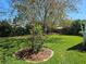 Spacious green backyard with beautiful, mature tree at 2321 Tamarind Dr, Edgewater, FL 32141