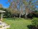 Lush backyard featuring vibrant green grass and shady trees at 2321 Tamarind Dr, Edgewater, FL 32141