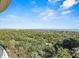Expansive ocean view from a high-rise condo balcony with palm trees and a clear blue sky at 261 Minorca Beach Way # 606, New Smyrna Beach, FL 32169