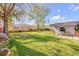Backyard featuring a well-maintained lawn, mature trees, and a privacy fence at 2828 Pine Tree Dr, Edgewater, FL 32141