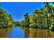 Scenic view of a kayaker on a tranquil river surrounded by lush green trees and a clear blue sky at 2908 Cypress Ridge Trl, Port Orange, FL 32128