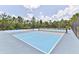 Community pickleball courts with blue surface, black net, and a black chain link fence at 3245 Carpentaria Dr, New Smyrna Beach, FL 32168
