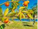 Bright orange tree branches with a gorgeous lake view in the background at 3611 Marisol Ct, New Smyrna Beach, FL 32168