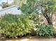 Lush backyard featuring verdant plants, trees and greenery and a brick border at 403 Wildwood Dr, Edgewater, FL 32132