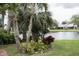 Backyard view featuring a serene pond, lush palms, and vibrant foliage, creating a peaceful setting at 731 Pine Shores Cir, New Smyrna Beach, FL 32168