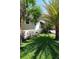 Lush lawn and mature palm trees frame this home's exterior at 746 N Halifax Ave, Daytona Beach, FL 32118