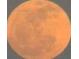 Close up of a color swatch at 316 Citrus Open Dr, New Smyrna Beach, FL 32168