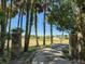 Driveway entrance leading to a property with tall palm trees and a glimpse of a house in the background at 3890 Skyway Dr, Sanford, FL 32773