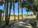 Scenic driveway framed by towering palm trees leading to a charming home, promising a peaceful and private retreat at 3890 Skyway Dr, Sanford, FL 32773