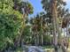 Palm tree-lined driveway creating a grand entrance to a serene property, blending nature with refined elegance at 3890 Skyway Dr, Sanford, FL 32773