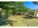 View of backyard and house, bordered by tall green trees and lush landscaping at 1227 Wayne Ave, New Smyrna Beach, FL 32168