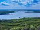 Panoramic aerial view showcasing the property's lush green surroundings and waterfront access at 133 Cedar Dunes Dr, New Smyrna Beach, FL 32169