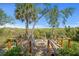 Wooden dock with seating overlooking the marshland, with palm trees and shrubbery on clear sky at 1363 Wayne Ave, New Smyrna Beach, FL 32168