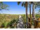 Marsh view of a boardwalk under palm trees with lush greenery, offering tranquil natural escape at 1363 Wayne Ave, New Smyrna Beach, FL 32168